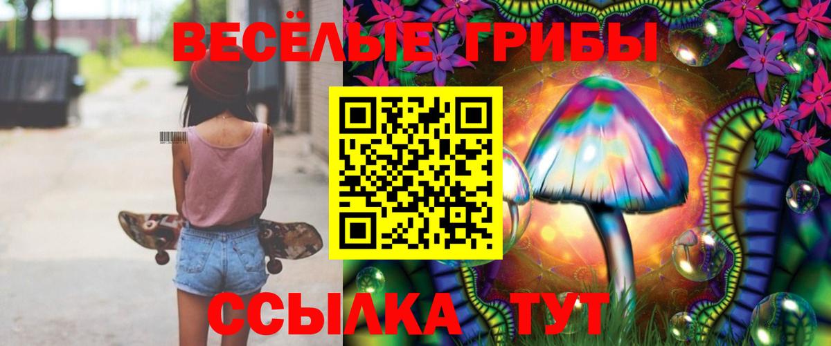 Псилоцибиновые грибы Magic Shrooms  Галлюциногенные грибы GOLDEN TEACHER  Изобильный  Вход с VPN 