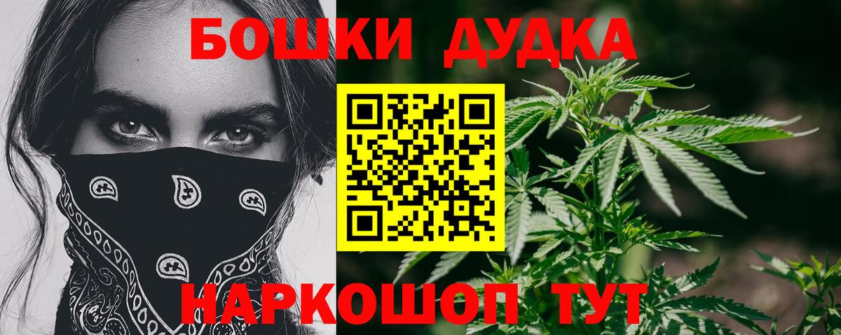 Бошки Шишки планчик Изобильный